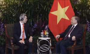 Tổng Bí thư, Chủ tịch nước Tô Lâm tiếp lãnh đạo các doanh nghiệp và tổ chức tài chính lớn của Singapore