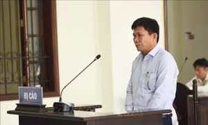 Cựu Giám đốc CDC Bình Phước bị tuyên phạt 3 năm tù