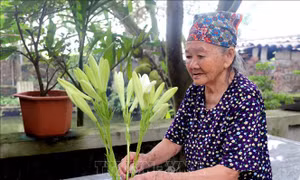 Viết tiếp hành trình tự hào của các nhà báo - chiến sỹ