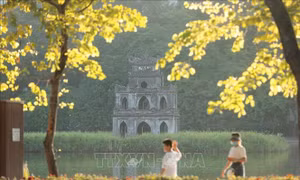 Thời tiết ngày 12/10: Bắc Bộ nắng hanh, Nam Tây Nguyên và Nam Bộ mưa lớn