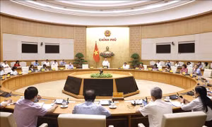 Nghiên cứu, xây dựng các chính sách đón đầu xu hướng già hóa dân số