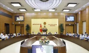 UBTV Quốc hội cho ý kiến về Luật Hộ tịch (sửa đổi), Luật Thủ đô (sửa đổi)