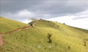Cung đường trekking mạo hiểm Tà Năng - Phan Dũng mê hoặc các 'phượt thủ'