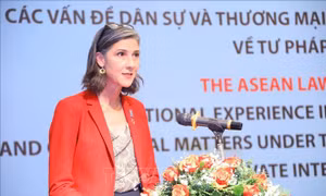 UNDP cam kết hỗ trợ Việt Nam chuyển đổi năng lượng xanh