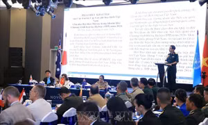 Việt Nam đóng góp vào quá trình định hướng chiến lược hợp tác gìn giữ hòa bình