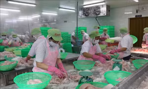 Bản lĩnh đối đầu để vượt khó