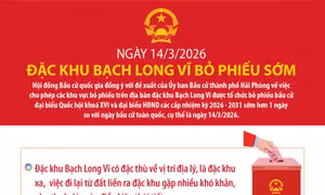 Ngày 14/3/2026, đặc khu Bạch Long Vĩ bỏ phiếu sớm