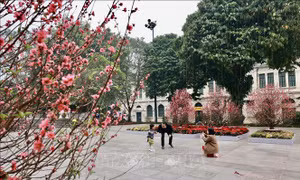 Thời tiết thuận lợi cho nhân dân vui Xuân đón Tết