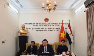 Hội thảo trực tuyến về Chủ tịch Hồ Chí Minh tại Ai Cập