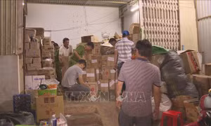 Đắk Lắk phát hiện hơn 10 tấn hạt nêm, bột ngọt không rõ nguồn gốc