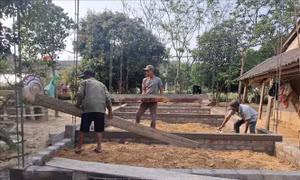 Ưu tiên xóa nhà tạm cho hộ có công, thân nhân liệt sỹ