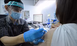 'Chốt chặn hiệu quả' ngăn chặn các biến thể mới của virus SARS-CoV-2