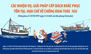 Các nhiệm vụ, giải pháp cấp bách khắc phục tồn tại, hạn chế về chống khai thác IUU