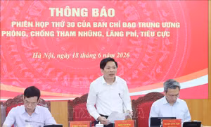 Dứt điểm xử lý tài sản công dôi dư, thu hồi tài sản tham nhũng, lãng phí, tiêu cực từ sớm