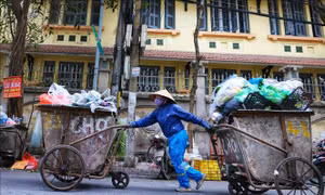 Những 'bông hoa' thầm lặng làm đẹp phố Xuân