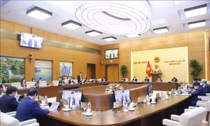Uỷ ban Thường vụ Quốc hội cho ý kiến về dự án đường bộ cao tốc Bắc - Nam phía Đông