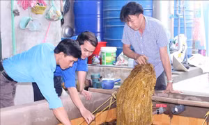 Tuổi trẻ Vĩnh Long sáng tạo, khởi nghiệp - Bài 1: Khai thác thế mạnh tài nguyên bản địa 