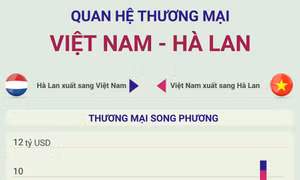 Quan hệ thương mại Việt Nam - Hà Lan