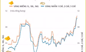 Giá vàng SJC sáng 5/2/2025: Vàng miếng tăng lên 91 triệu đồng/lượng