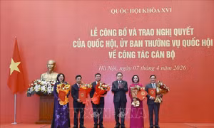 Chủ tịch Quốc hội Trần Thanh Mẫn dự Lễ công bố và trao Nghị quyết về công tác cán bộ