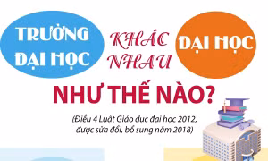 Đại học và trường đại học khác nhau như thế nào?