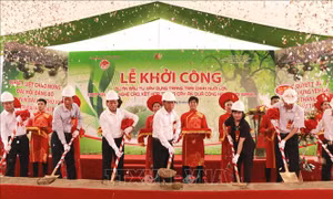 Khởi công xây dựng trang trại nuôi lợn khép kín công nghệ cao