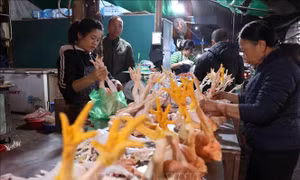 Chợ đầu mối Hà Nội sẵn sàng nguồn hàng phục vụ thị trường Tết