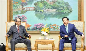 Phó Thủ tướng Trần Hồng Hà tiếp Đoàn chuyên gia Nhật Bản về lĩnh vực dự báo khí tượng thủy văn