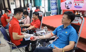 Lãnh đạo các cơ quan, đơn vị tại Nam Định tham gia hiến máu cứu người