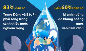 Khủng hoảng nước ảnh hưởng đến gần một nửa dân số thế giới