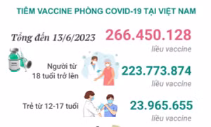 Tình hình tiêm vaccine phòng COVID-19 tại Việt Nam tính đến hết ngày 13/6/2023