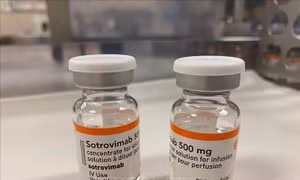 Thuốc Sotrovimab của GSK có thể hiệu quả đối với biến thể Omicron