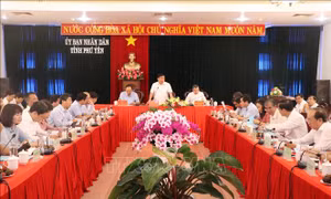 Phú Yên cần làm tốt việc lựa chọn các lĩnh vực để thu hút đầu tư