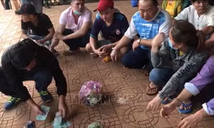 Đột kích sòng bạc, bắt giữ 31 con bạc