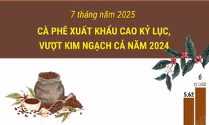 7 tháng năm 2025, cà phê xuất khẩu cao kỷ lục, vượt kim ngạch cả năm 2024