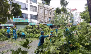 Nổi bật tuần qua: Khẩn trương khắc phục hậu quả bão số 3 và ứng phó với hoàn lưu bão