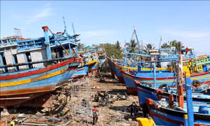 Nhộn nhịp mùa 'làm nước' cho tàu cá