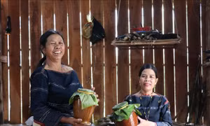 Say nồng rượu cần men lá Tây Nguyên
