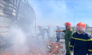 Xe tải chở 10 tấn mận cháy rụi trên cao tốc Diễn Châu - Bãi Vọt