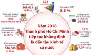 Năm 2018: Thành phố Hồ Chí Minh tiếp tục khẳng định vị trí đầu tàu kinh tế 