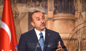 Libya và Thổ Nhĩ Kỳ mở cuộc điều tra chung về hai tàu chở vũ khí