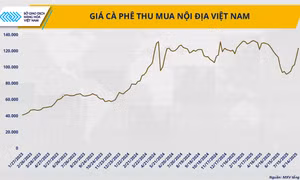 Cà phê thế giới khan hiếm, Việt Nam có phá vỡ kịch bản ‘được mùa mất giá’?