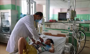 Chưa ghi nhận ca biến chứng nặng vụ nghi ngộ độc do ăn bánh mì 