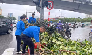  Tuổi trẻ Thủ đô chung tay phục hồi cảnh quan Hà Nội xanh tươi