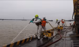 Chủ động lực lượng, trang thiết bị phục vụ công tác ứng phó sự cố tràn dầu