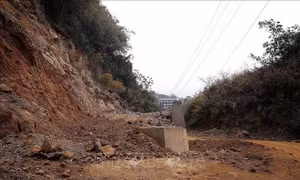 Đẩy nhanh tiến độ Dự án kè xử lý sạt lở đường Bích Trụ, vùng ven hồ thủy điện Hòa Bình