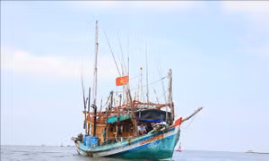 Thủ tướng chỉ đạo tăng cường chống khai thác thủy sản bất hợp pháp IUU