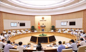 Nghị quyết phiên họp Chính phủ thường kỳ tháng 5/2022