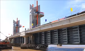 Tháng 3 - 4/2025, xâm nhập mặn ở cửa sông Cửu Long tăng cao