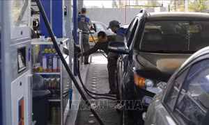 Giá dầu châu Á tiếp tục đi xuống trước nỗi lo về kinh tế Trung Quốc